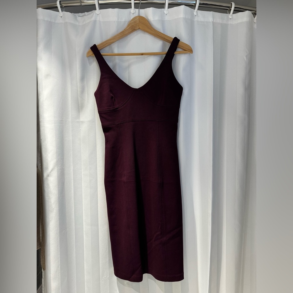 Barely worn Plum dress